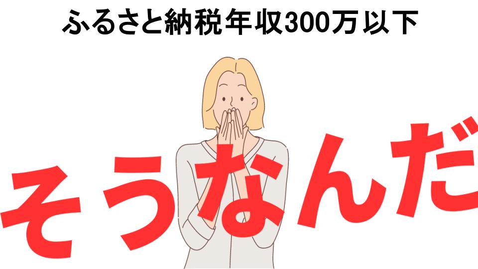 意味ないと思う人におすすめ！ふるさと納税年収300万以下の代わり